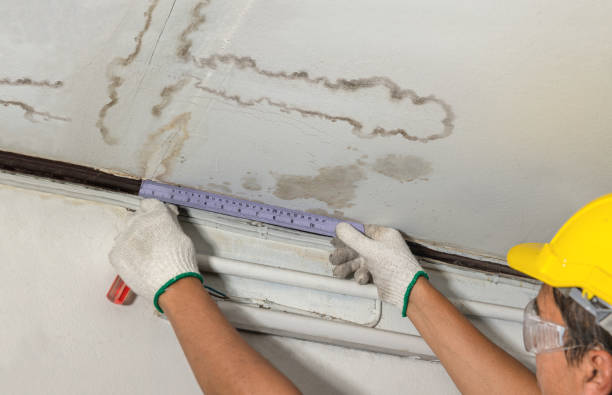Reliable Structural Drying contractor in University Center, MI by Water Damage Irwin
